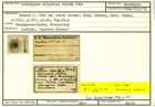 Karteikarte zum Holotyp von Cornuspira elliptica Stache, 1864